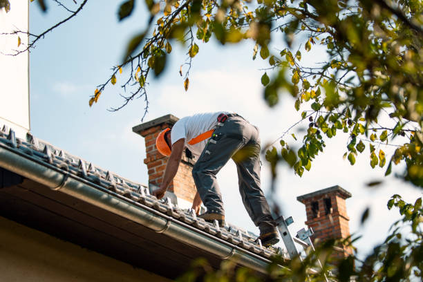Best Residential Roof Replacement  in Walnut Cove, NC