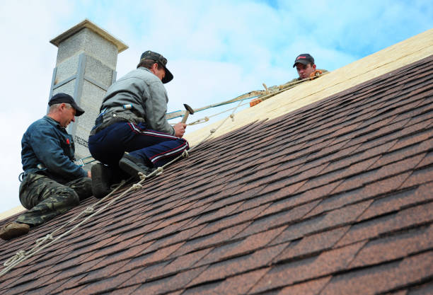 Professional Roofing Contractor in Walnut Cove, NC